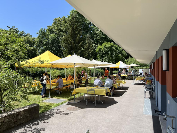 Sommergrüsse aus dem tilia