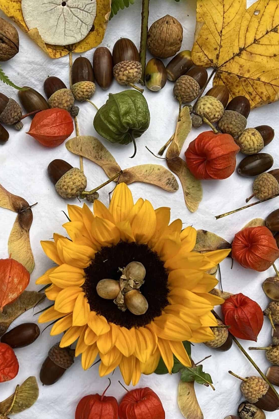 Systemische Trauerbegleitung bei Kindsverlust