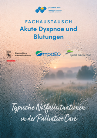 Fachaustausch Palliative Care