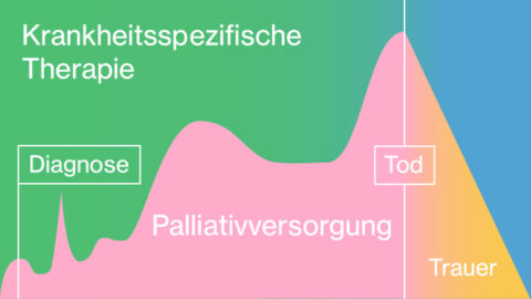 Krankheitsspezifische Therapie